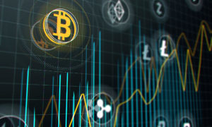 WM Digital